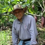 Sagu, el emprendimiento que lleva el cacao colombiano al exterior