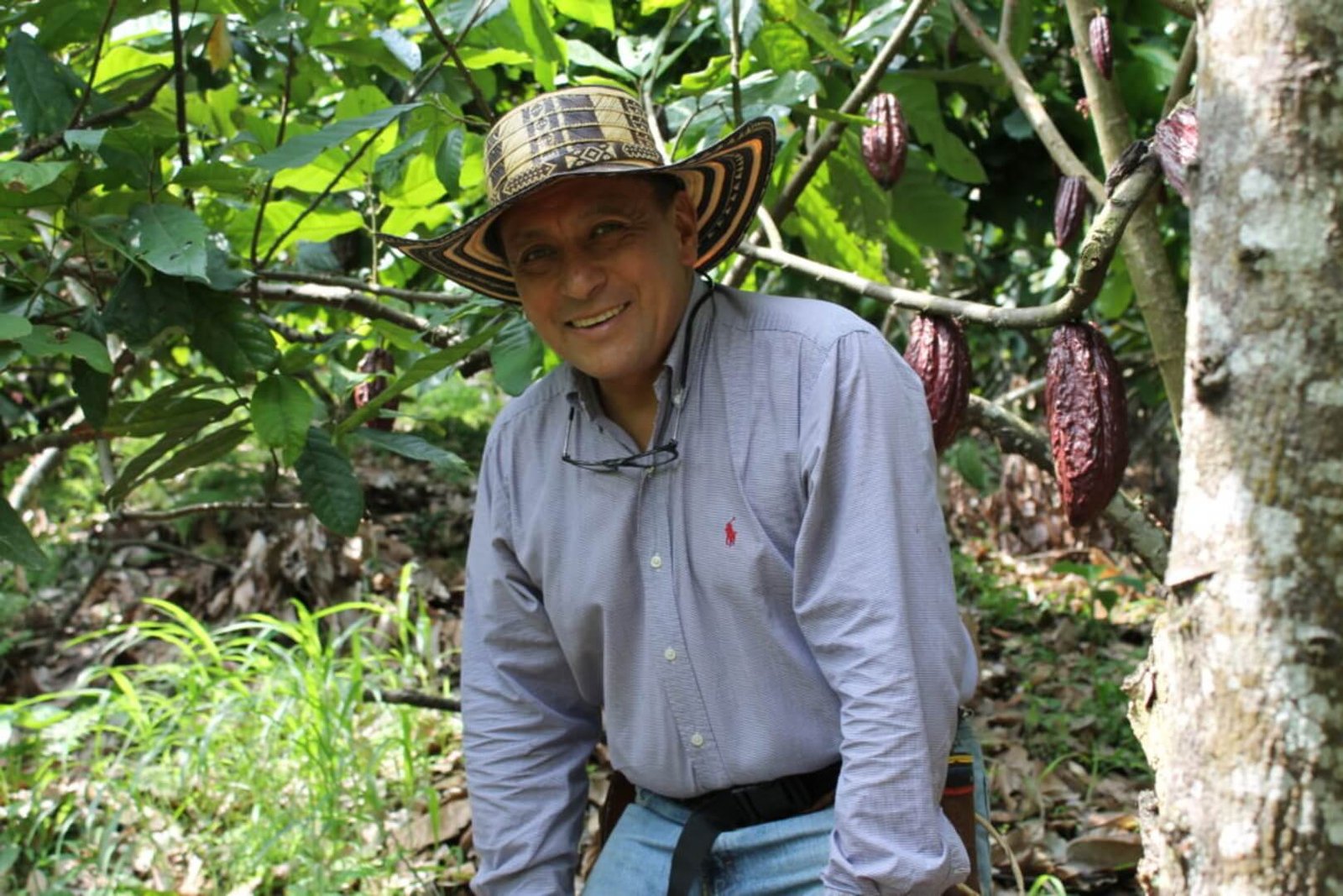 cacao colombiano tipo exportacion