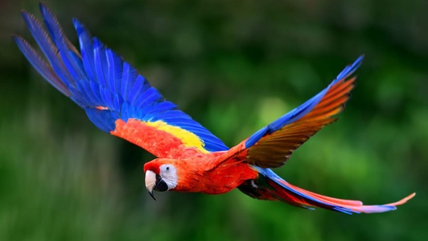 colombia el país de la belleza