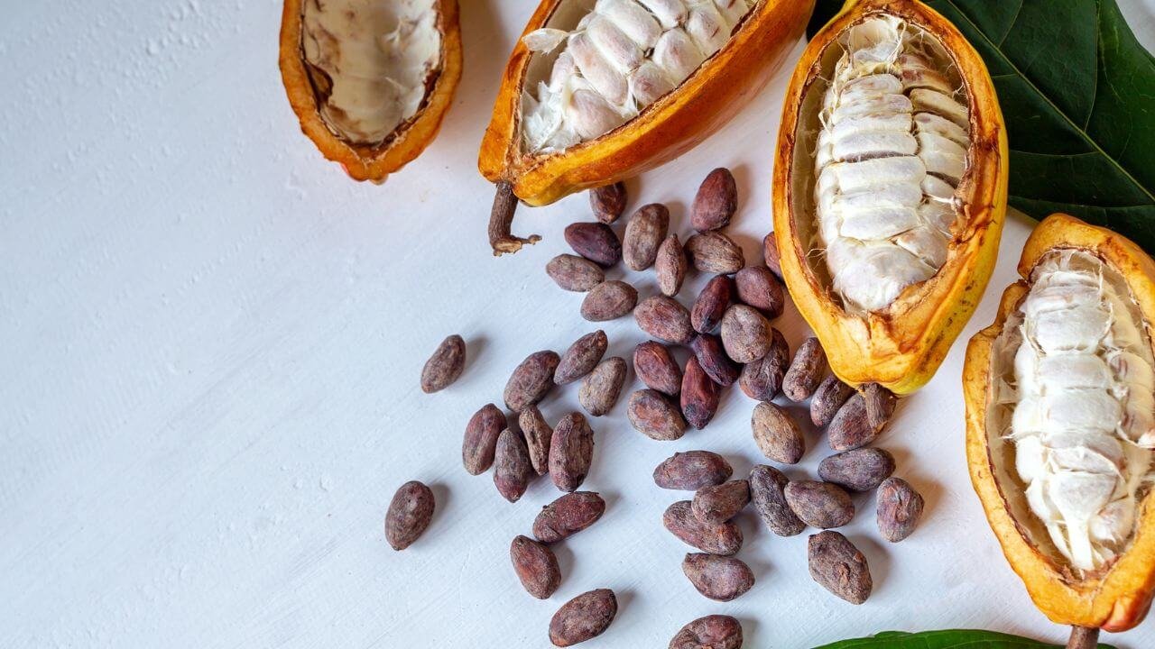 cacao colombiano tipo exportación