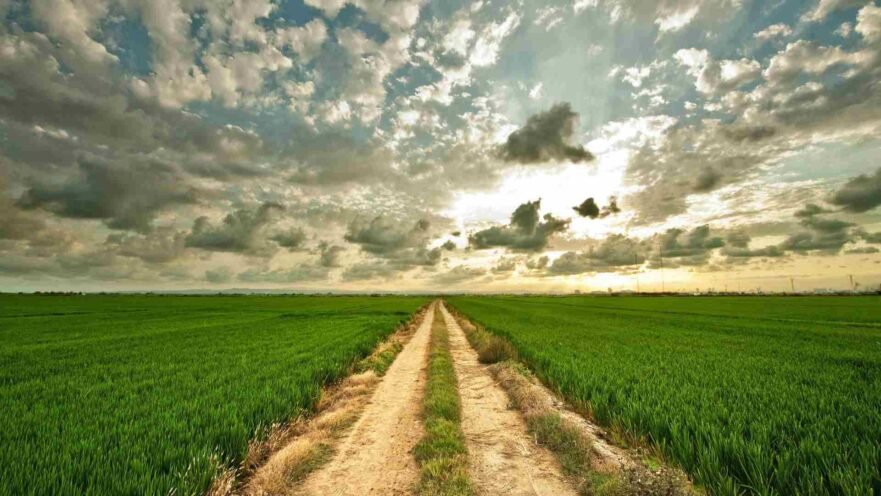 repoblación - espana-portada