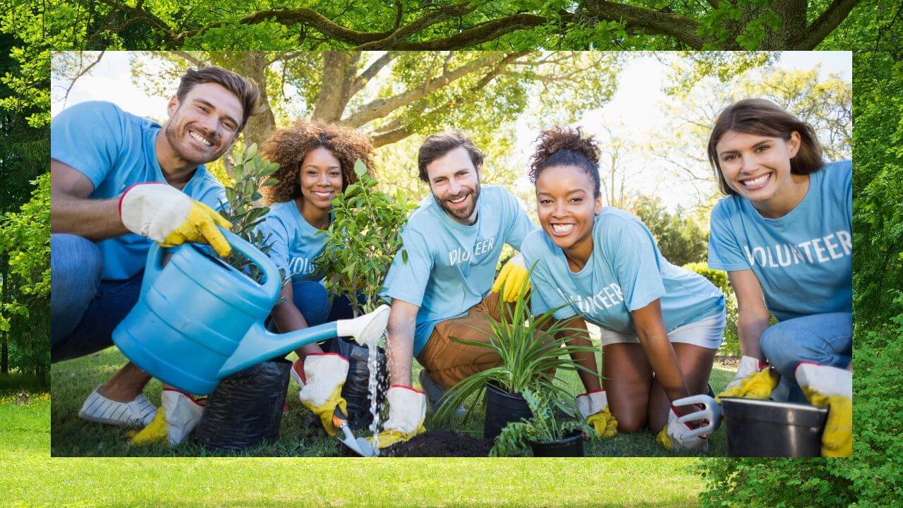 el voluntariado para lograr un trabajo en el exterior